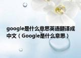 google是什么意思英语翻译成中文（Google是什么意思）