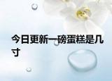 今日更新一磅蛋糕是几寸