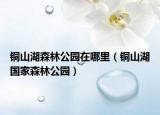 铜山湖森林公园在哪里（铜山湖国家森林公园）