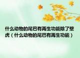 什么动物的尾巴有再生功能除了壁虎（什么动物的尾巴有再生功能）