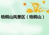 梧桐山风景区（梧桐山）