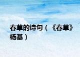 春草的诗句（《春草》杨基）