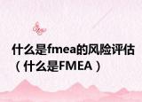 什么是fmea的风险评估（什么是FMEA）