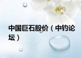 中国巨石股价（中钓论坛）