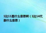 1比11是什么意思啊（1比14代表什么意思）