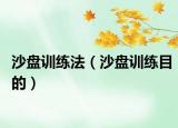 沙盘训练法（沙盘训练目的）