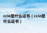 ccie是什么证书（ccie是什么证书）