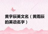 黄宇辰英文名（黄雨辰的英语名字）