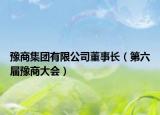 豫商集团有限公司董事长（第六届豫商大会）