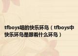 tfboys唱的快乐环岛（tfboys中快乐环岛是跟着什么环岛）