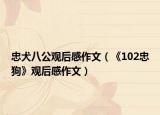 忠犬八公观后感作文（《102忠狗》观后感作文）