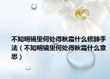 不知明镜里何处得秋霜什么修辞手法（不知明镜里何处得秋霜什么意思）