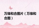 万缘和合图片（万缘和合图）