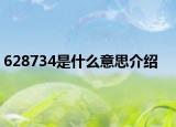 628734是什么意思介绍
