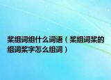 桨组词组什么词语（桨组词桨的组词桨字怎么组词）