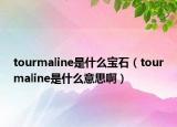 tourmaline是什么宝石（tourmaline是什么意思啊）