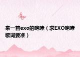 来一首exo的咆哮（求EXO咆哮歌词要准）