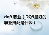 dq9 职业（DQ9最好的职业搭配是什么）