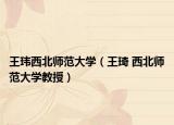 王玮西北师范大学（王琦 西北师范大学教授）