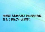 电视剧《家有九凤》的主要内容是什么（表达了什么思想）
