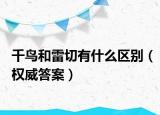 千鸟和雷切有什么区别（权威答案）