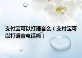 支付宝可以打语音么（支付宝可以打语音电话吗）
