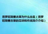 普罗旺斯薰衣草为什么出名（普罗旺斯薰衣草的花语和传说简介介绍）