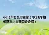 qq飞车怎么得雪球（QQ飞车如何获得小雪球简介介绍）