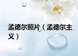 孟德尔照片（孟德尔主义）