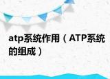 atp系统作用（ATP系统的组成）