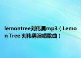 lemontree刘伟男mp3（Lemon Tree 刘伟男演唱歌曲）