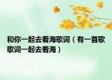 和你一起去看海歌词（有一首歌歌词一起去看海）