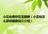 小花仙奇妙花宝翅膀（小花仙怎么获得翅膀简介介绍）