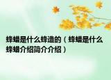 蜂蜡是什么蜂造的（蜂蜡是什么 蜂蜡介绍简介介绍）