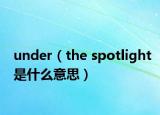 under（the spotlight是什么意思）
