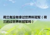 荷兰有没有拿过世界杯冠军（荷兰的过世界杯冠军吗）