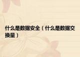 什么是数据安全（什么是数据交换量）