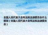 全国人民代表大会宪法和法律委员会什么级别（全国人民代表大会宪法和法律委员会）