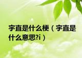 宇直是什么梗（宇直是什么意思?i）
