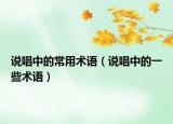 说唱中的常用术语（说唱中的一些术语）