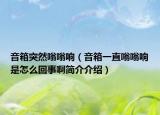 音箱突然嗡嗡响（音箱一直嗡嗡响是怎么回事啊简介介绍）