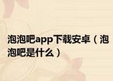 泡泡吧app下载安卓（泡泡吧是什么）