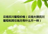 云南宾川葡萄价格（云南大理宾川葡萄和其它地方有什么不一样）