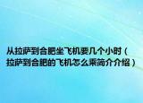 从拉萨到合肥坐飞机要几个小时（拉萨到合肥的飞机怎么乘简介介绍）