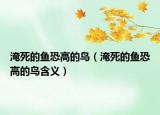 淹死的鱼恐高的鸟（淹死的鱼恐高的鸟含义）