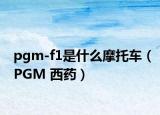 pgm-f1是什么摩托车（PGM 西药）