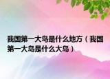 我国第一大岛是什么地方（我国第一大岛是什么大岛）