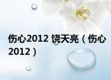 伤心2012 饶天亮（伤心2012）