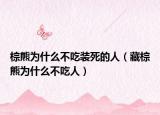 棕熊为什么不吃装死的人（藏棕熊为什么不吃人）