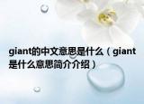 giant的中文意思是什么（giant是什么意思简介介绍）